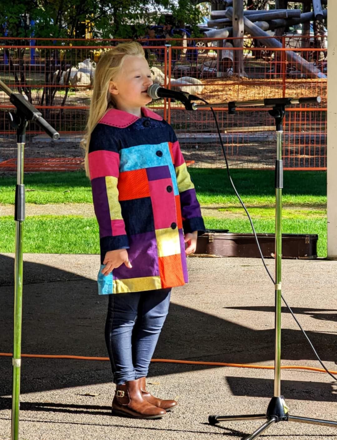Music in the Park 1